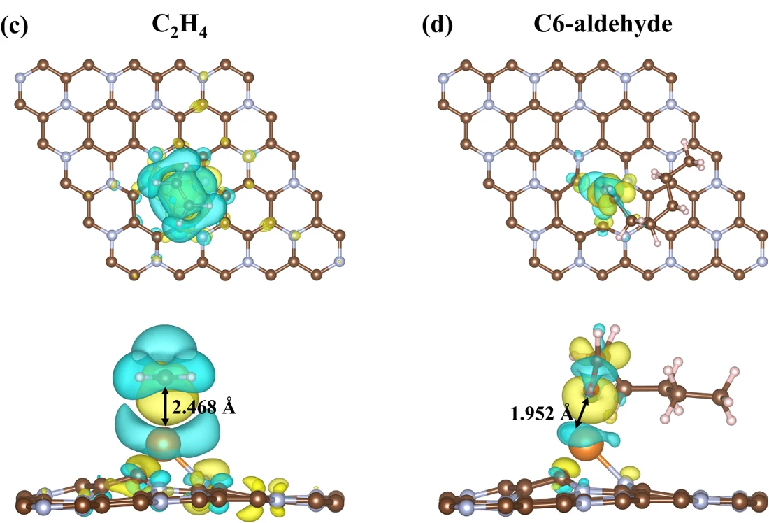 Ethylene and C6-aldehyde adsorption geometries and charge-density differences on magnesium-doped C3N